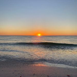 Meet your Posher, Alissa